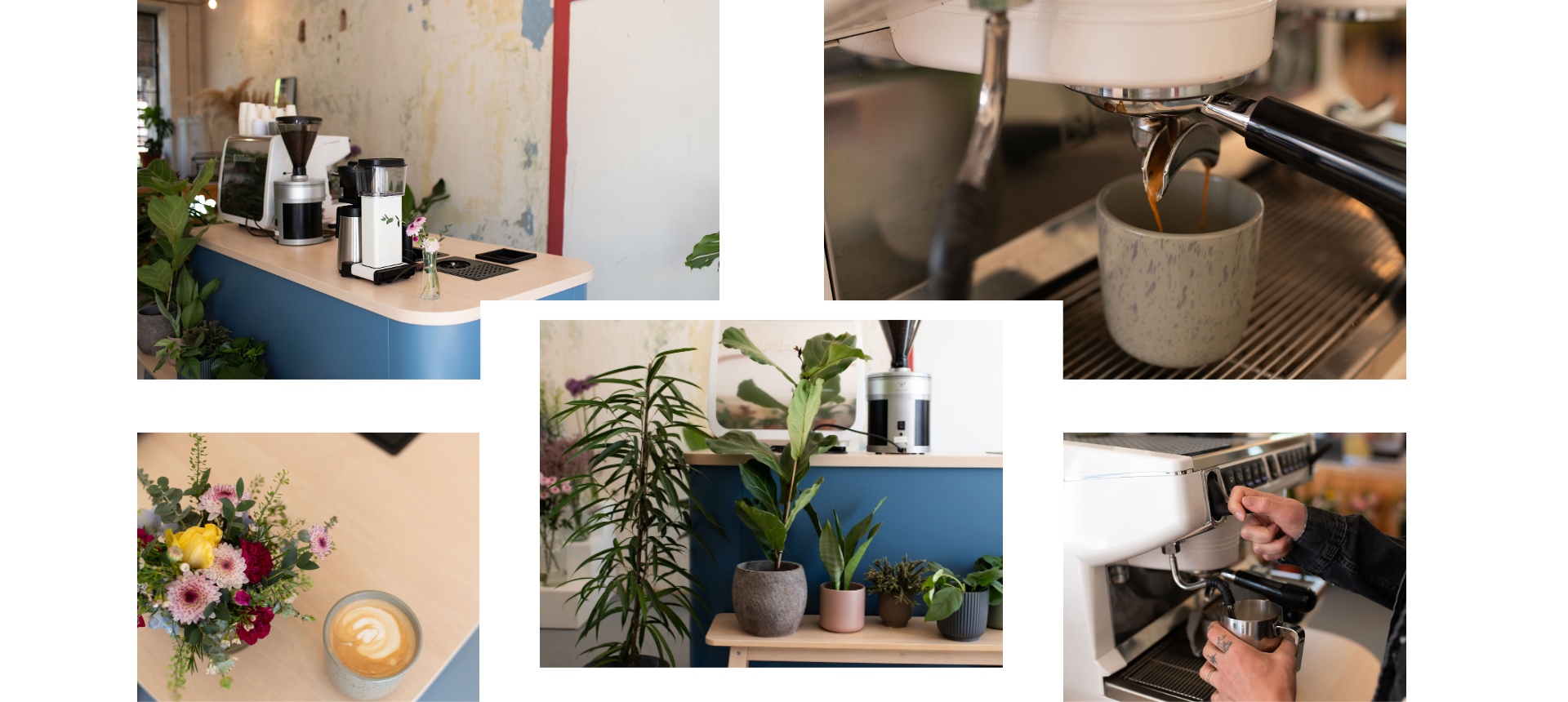 Prostor květinářství Kytku? ve Zlíně s květinami a výběrovou kávou