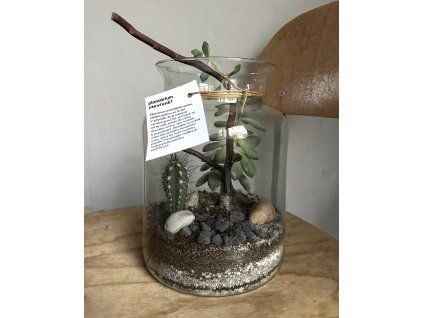 plantárium, Otevřené?