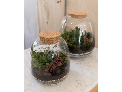 plantárium, Velké?