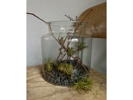 vzdušné rostlinky?