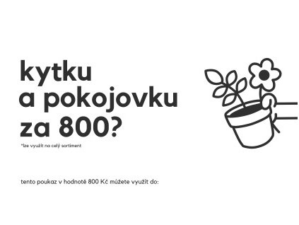 poukaz 800