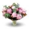 paeonia