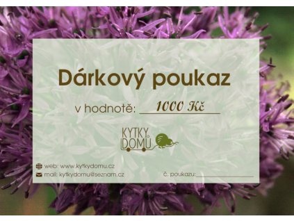 vyr 619 DarkovyPoukaz1000Kc