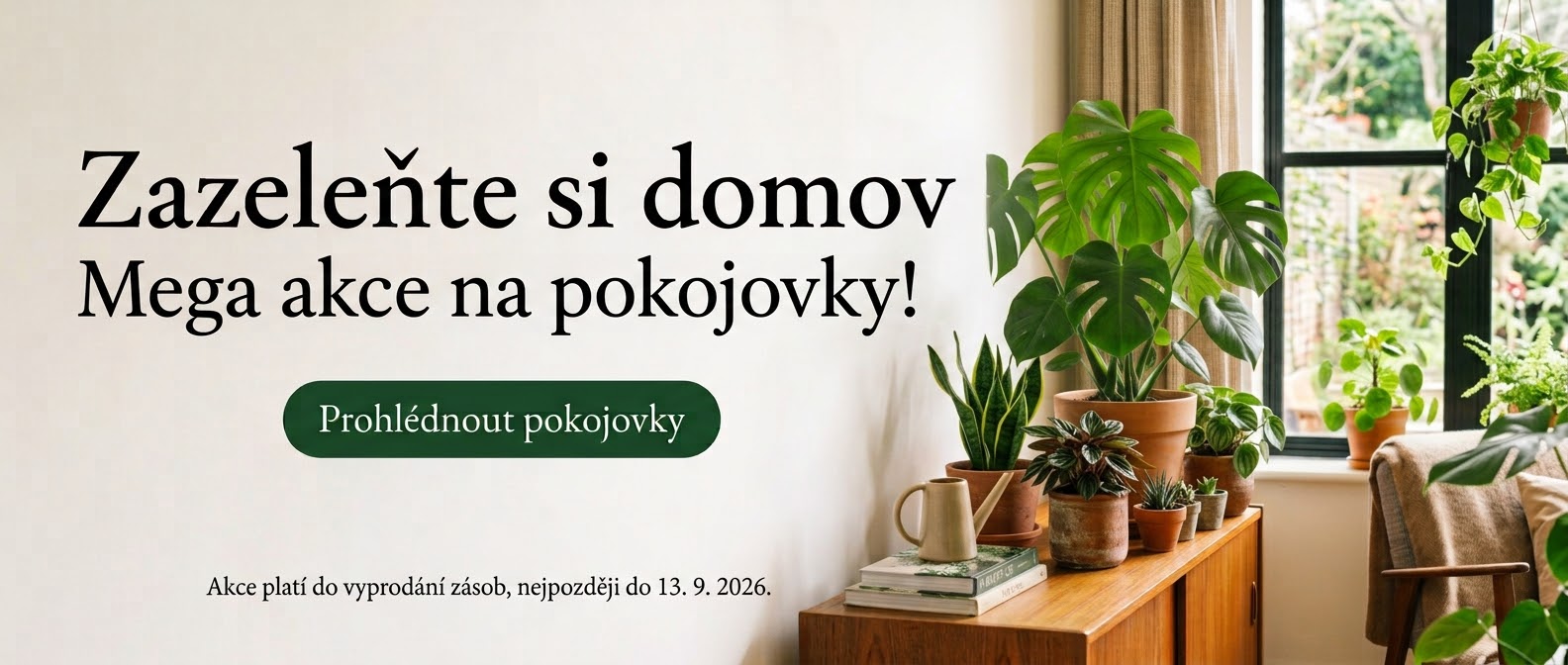 20% off