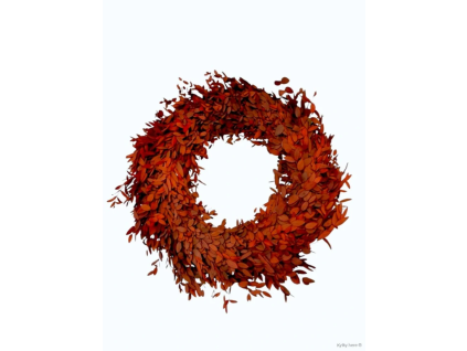 vyr 390 euk parvif wreath