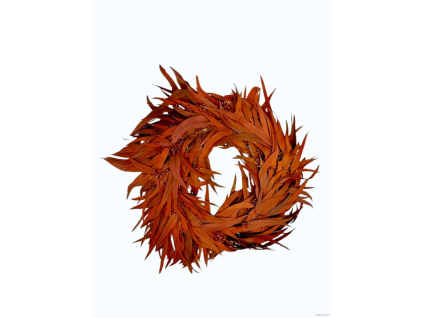 vyr 391 euk redberry wreath