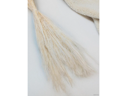 vyr 406 agrostis