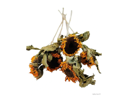 vyr 425 sunflower