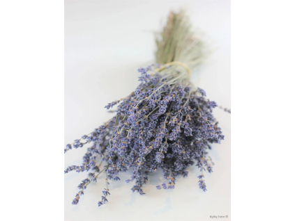vyr 438 lavender