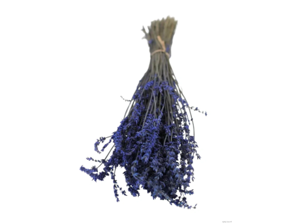 vyr 439 preserved lavender
