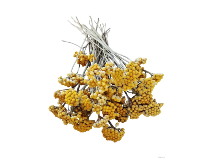 vyr 441 lonas dried