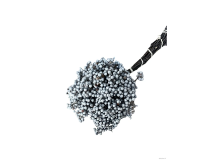 vyr 455 schinus
