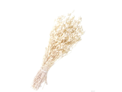 vyr 457 silene
