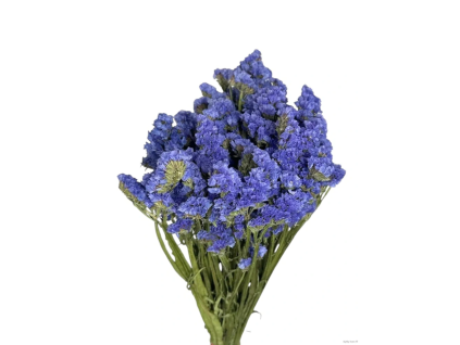 vyr 465 staticeblue