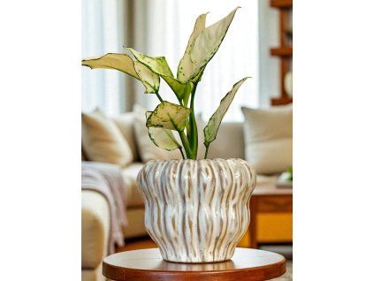 Lima white pot bubble (Průměr 17 cm)