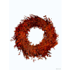 vyr 390 euk parvif wreath