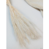 vyr 406 agrostis