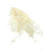 vyr 408 asparagus 1