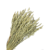 vyr 410 avena natur