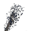 vyr 418 eryngium