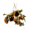 vyr 425 sunflower