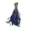 vyr 439 preserved lavender