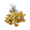 vyr 441 lonas dried