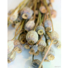 Sušené makovice (Barva přírodní)