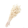 vyr 457 silene