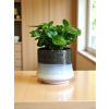 Tříbarevně glazovaný keramický obal (Průměr 10,5 cm)