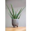 vyr 78 IMG 3201 01