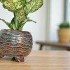 Obal Dewi Marrakech (Průměr 15 cm)