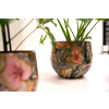 Obal Designed by Lammie - Monstera mystery (Průměr 15 cm)