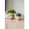 Obal Designed by Lammie - Floral White (Průměr 15 cm)