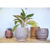 Obal Linn pot (Průměr 15 cm)