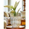 Lima white pot bubble (Průměr 17 cm)
