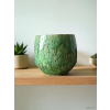 vyr 234 vyr 234 Photoroom 20250822 212601