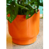 Obal Just Orange (Průměr 14 cm)