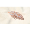 vyrp11 357IMG 20260318 WA0007