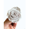 vyrp11 366IMG 20260321 WA00155