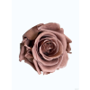 vyrp11 367IMG 20260321 WA00099