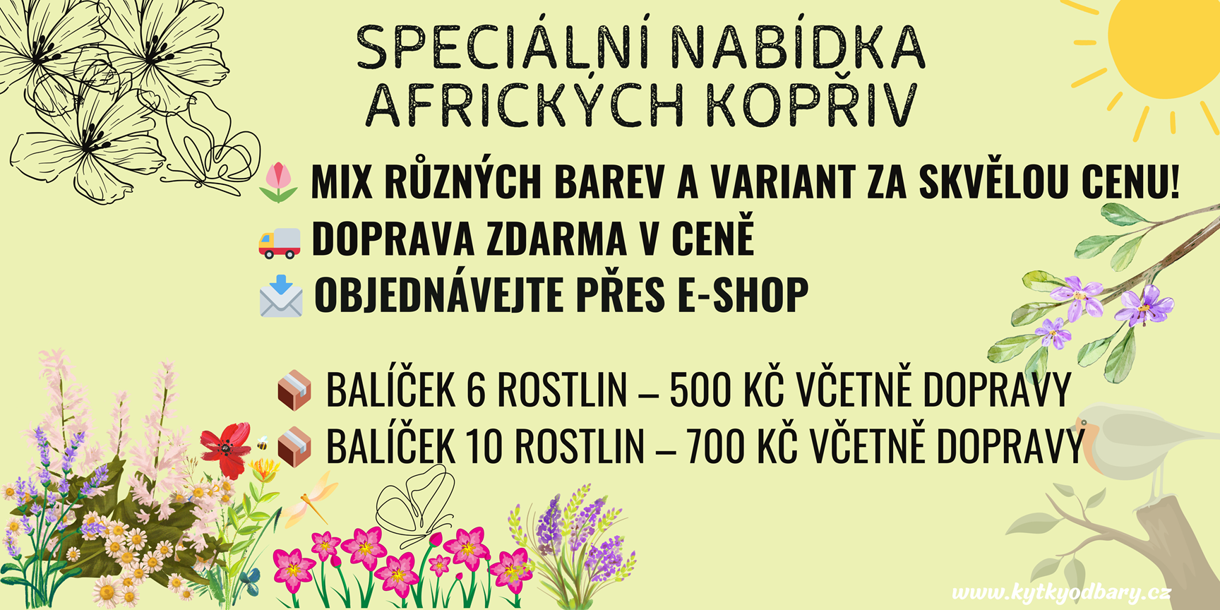 Akce