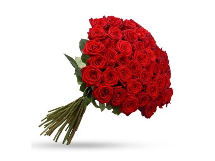 Růže 50 kusů