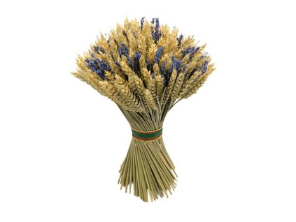 Pšenično - levandulová