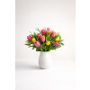 14tulip