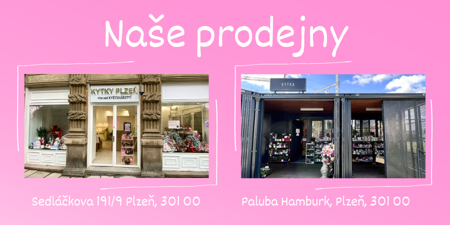 Naše prodejny v Plzni