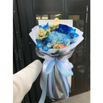 a2b3366d 0b2e 46de a899 e5b06420935e