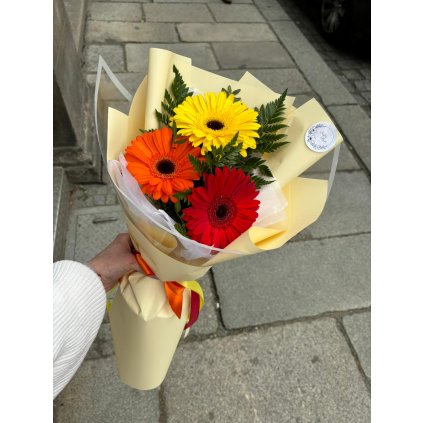 5f5d4554 cdf4 4ff2 9a3c c424cede6972