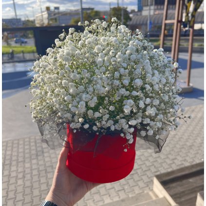 Box z bílé gypsophilly