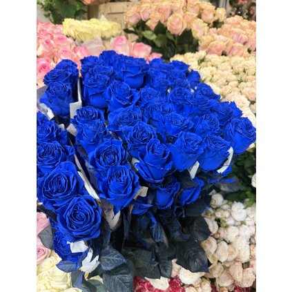 Modré růže